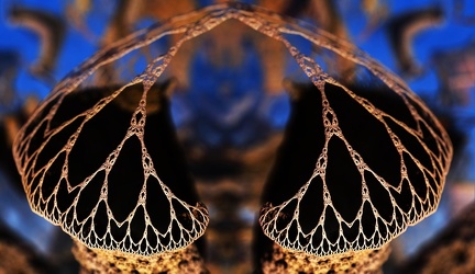 fractal20180811p