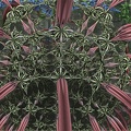 fractal20170829p